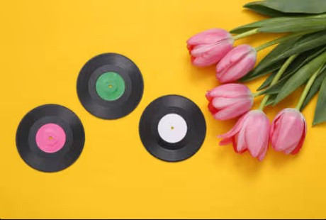 discos retro y flores - metafora